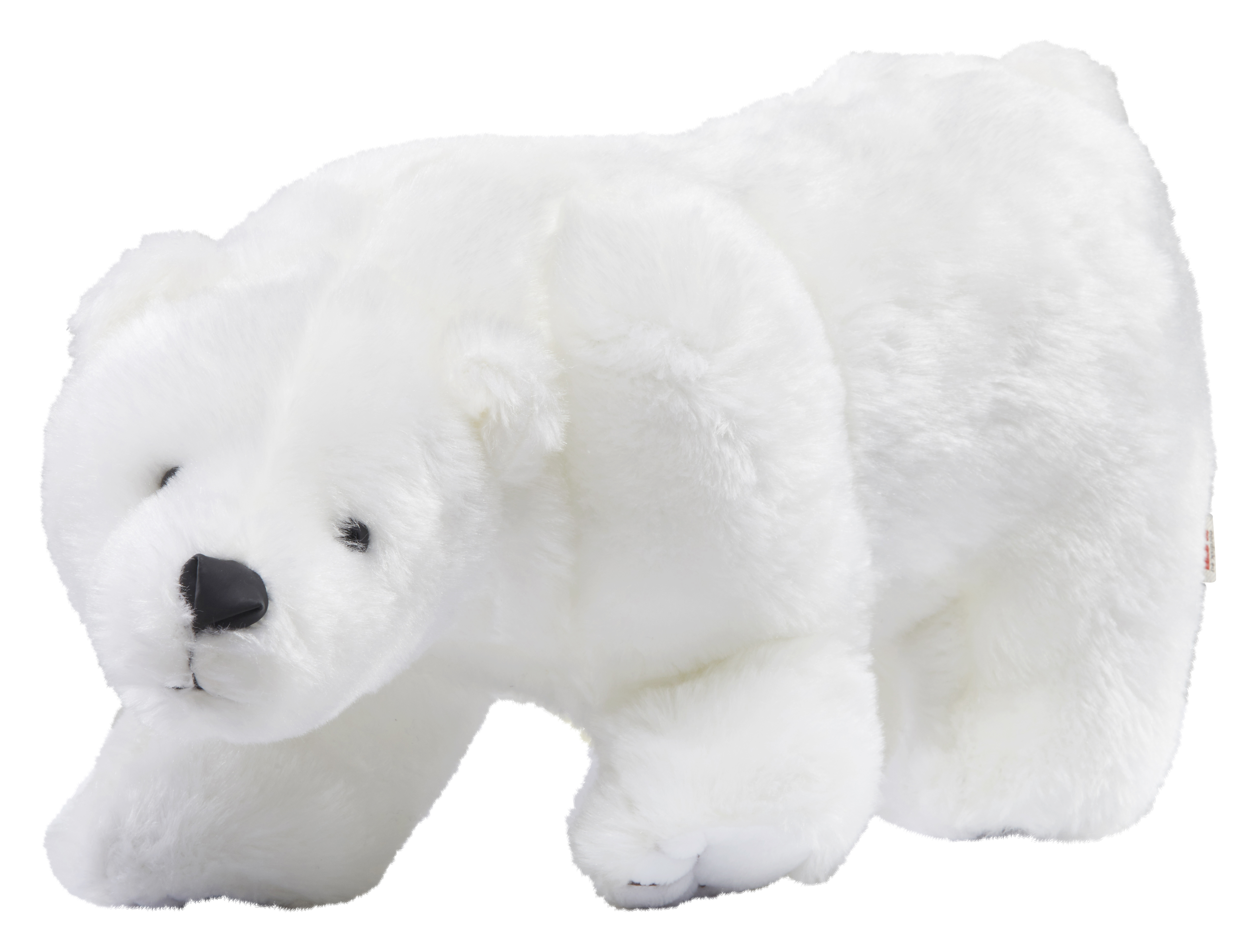 Polar Bear, large